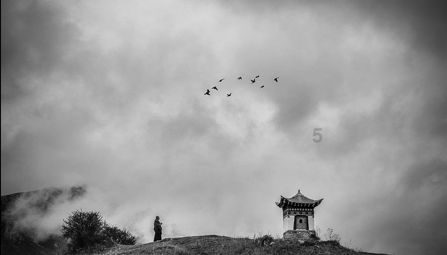 解决问题,尽在不需要考后审核的地区是不是就可以直接拿证?